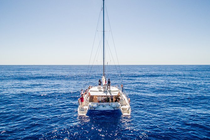Magic Dolphin Celebrity - A small catamaran with a calmer feel