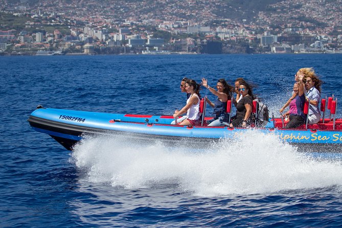 Magic Dolphin Sea Safaris - Key points to know before you book