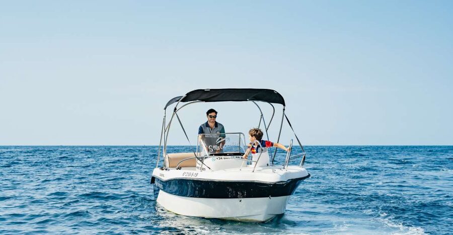 Malaga: License-free Boat Rental for Dolphin Watching - What one hour really gives you