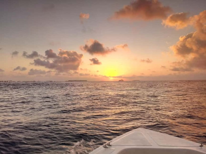 Maldives: Sunset Cruise with Dolphin Watching - Meeting at Henveiru Ferry Terminal