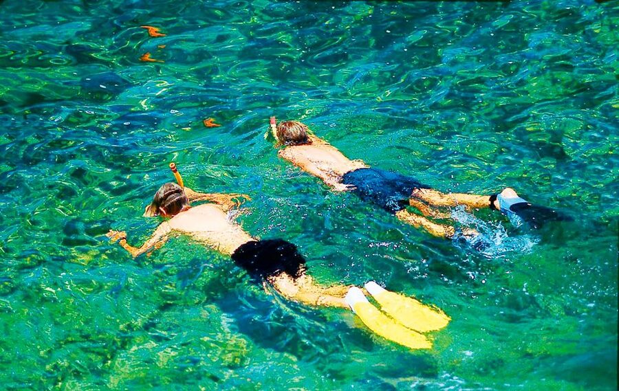 Mallorca: Dolphin Watching Cruise - Is the $54 Price Fair?