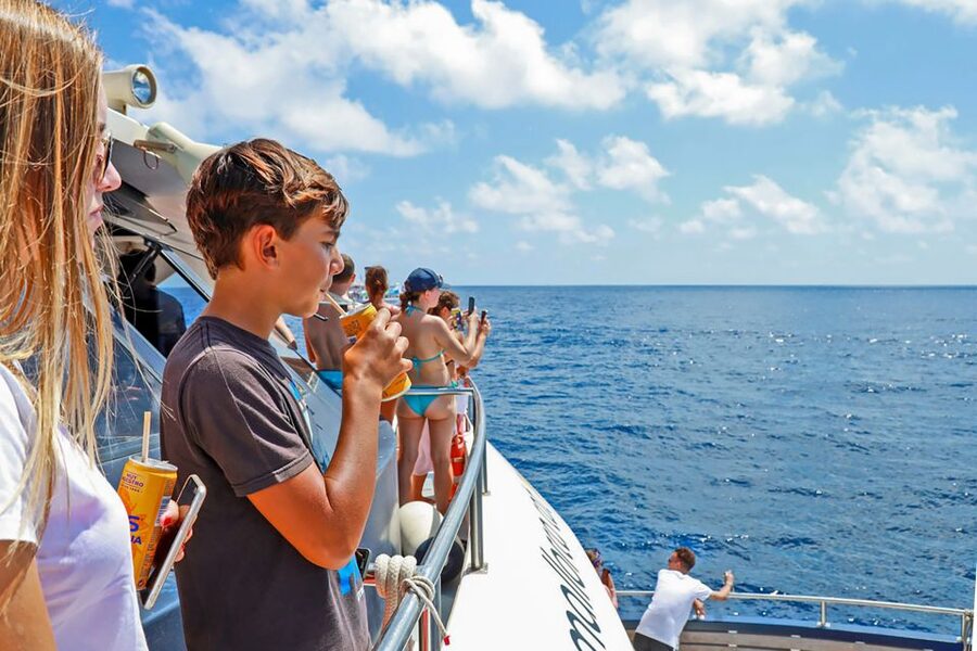 Mallorca: Dolphin Watching Cruise - Practical Details That Matter