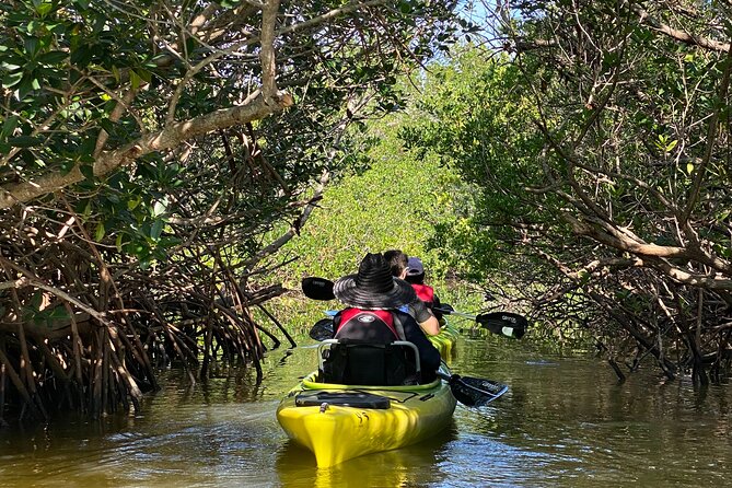 Manatee and Dolphin Kayak Tour - Starting at 4800 Tom Warriner Boulevard