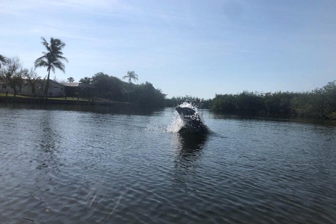 Manatee and Dolphin Kayak Tour - The open water of Banana River Lagoon