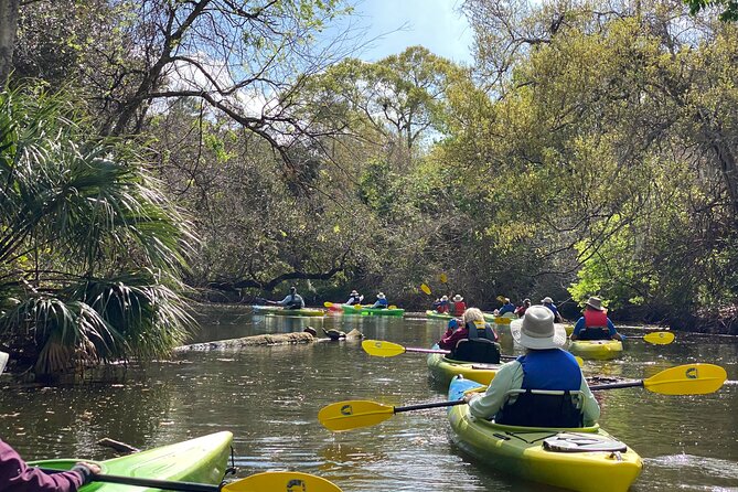 Manatee and Dolphin Kayak Tour - Wildlife is the real schedule