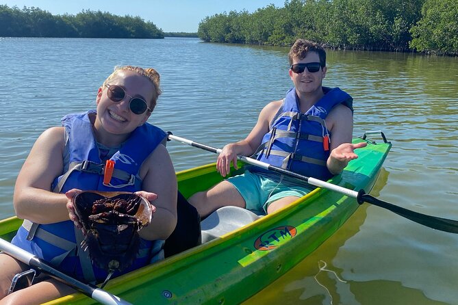 Manatee and Dolphin Kayak Tour - Is $50 a fair price?