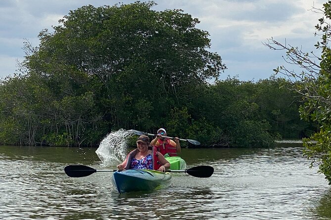 Manatee and Dolphin Kayak Tour - Who should book this Cocoa Beach kayak tour?