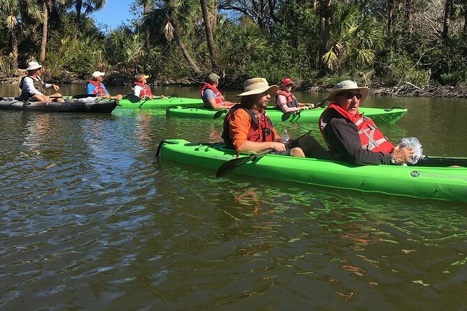 Manatee and Dolphin Kayaking Encounter - Guides make a real difference