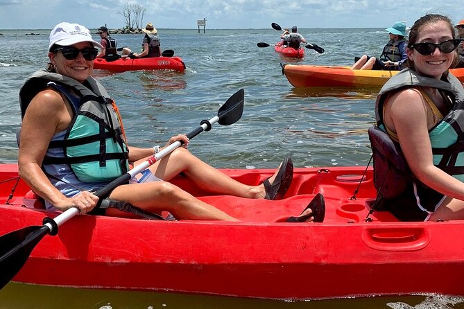 Manatee and Dolphin Kayaking Encounter - How strenuous is the paddle?