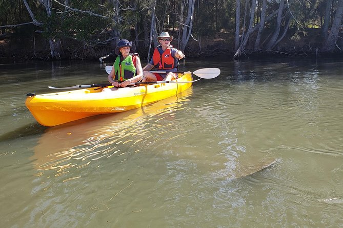 Manatee and Dolphin Kayaking | Wildlife Refuge (Titusville) - What the 90-minute route feels like