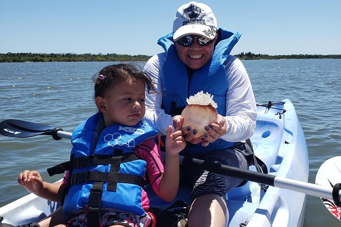 Manatee and Dolphin Kayaking | Wildlife Refuge (Titusville) - Dolphins may put on the fastest show