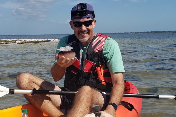 Manatee and Dolphin Kayaking | Wildlife Refuge (Titusville) - The main risk is the wildlife itself