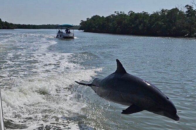 Manatee, Dolphin, and 10,000 Islands Eco Beach Tour by Boat - Starting at Port of the Islands Marina