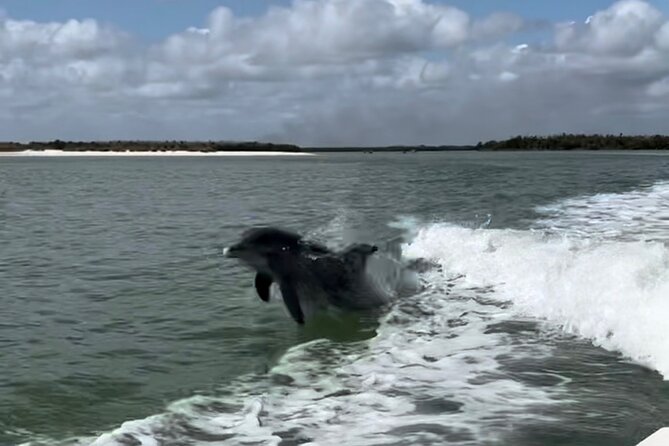 Manatee, Dolphin, and 10,000 Islands Eco Beach Tour by Boat - The 45-minute ride into the 10,000 Islands