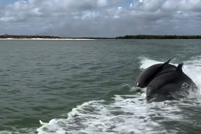 Manatee, Dolphin, and 10,000 Islands Eco Beach Tour by Boat - What the captains add to the experience
