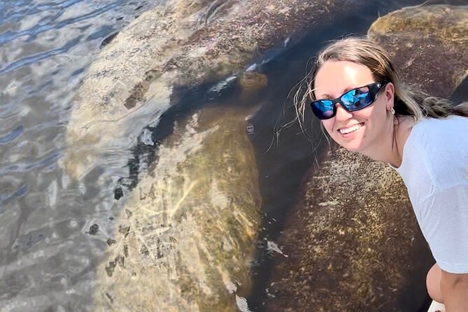 Manatee, Dolphin, and 10,000 Islands Eco Beach Tour by Boat - Weather, cancellations, and timing