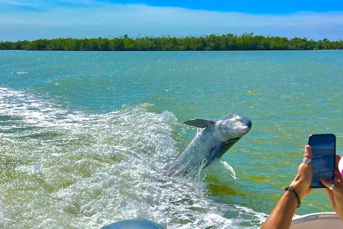 Manatee, Dolphin and 10,000 Islands Sunset Cruise! - Is $129.99 a fair price?