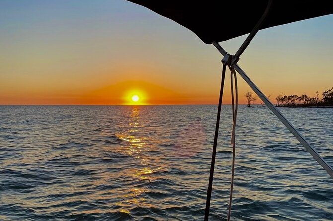 Manatee, Dolphin and 10,000 Islands Sunset Cruise! - What to bring and how to prepare