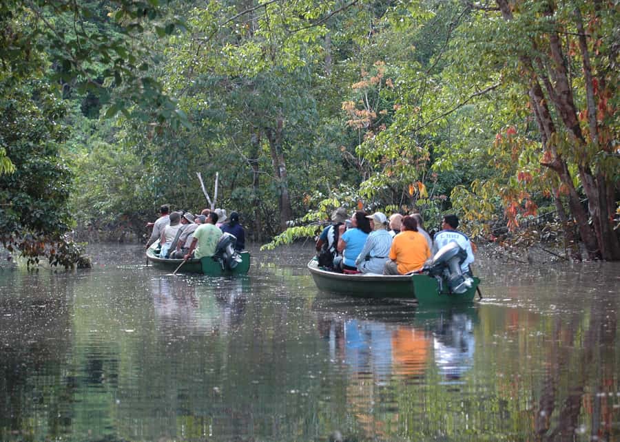 Manaus: Meeting of the Waters & Pink Dolphin Tour with Lunch - Who Will Enjoy This Tour Most