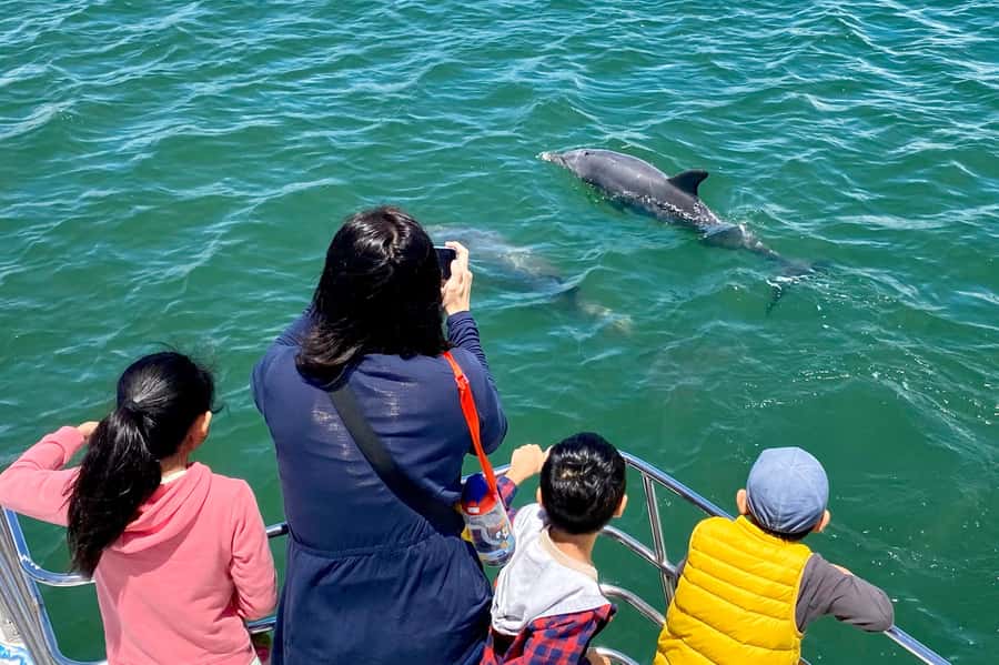 Mandurah: Dolphin and Views Cruise - What the short duration means for value