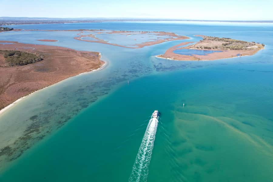 Mandurah: Dolphin & Giant Sightseeing Cruise - Watching Mandurah’s wild dolphins