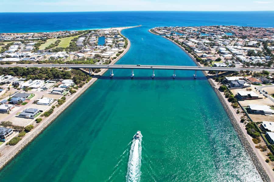 Mandurah: Dolphin & Giant Sightseeing Cruise - Wetlands, pelicans, and ospreys