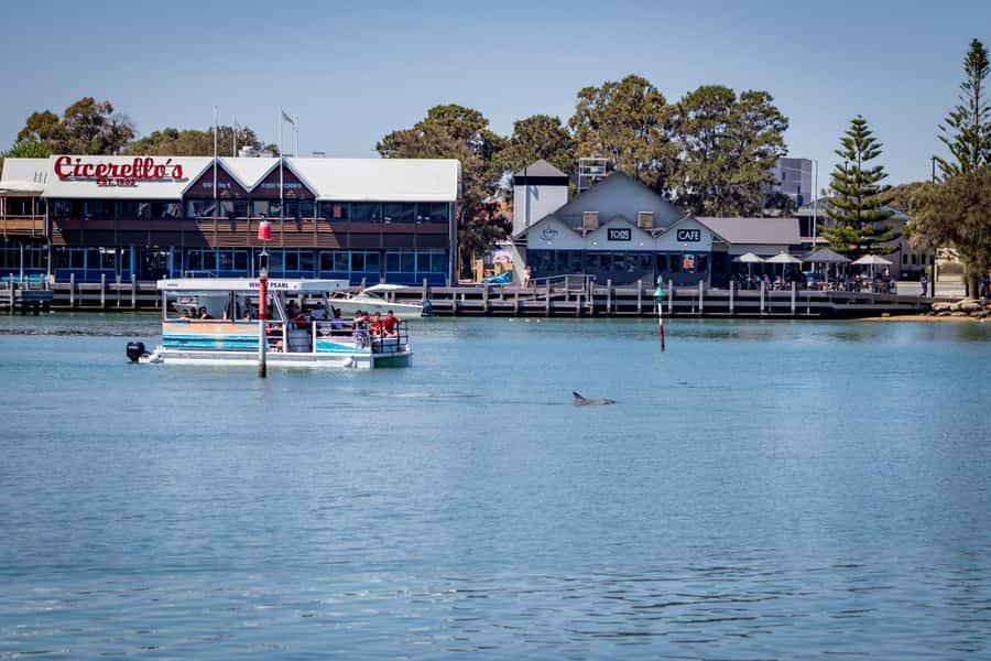 Mandurah: Sightseeing Dolphin Cruise with Tour Guide - The famous canal homes