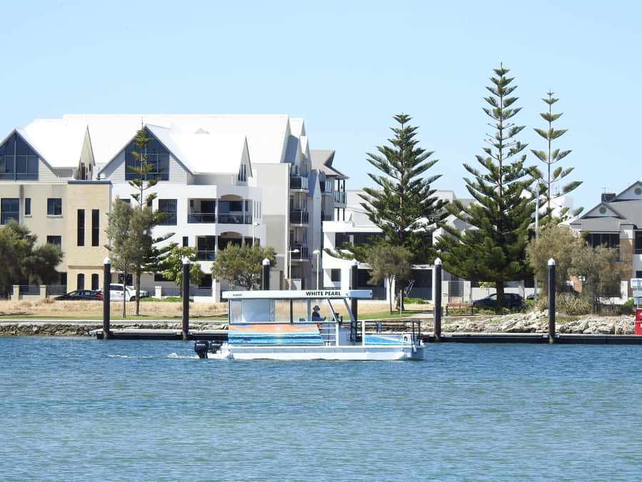 Mandurah: Sightseeing Dolphin Cruise with Tour Guide - Is $26 good value?
