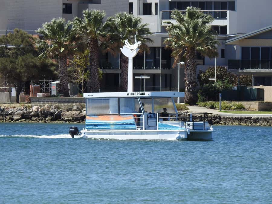 Mandurah: Sightseeing Dolphin Cruise with Tour Guide - Dolphin Quay and the marina boats