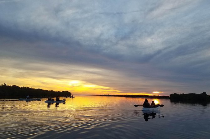 Mangrove Tunnels, Dolphins, Manatee Tour #1 Rated in Cocoa Beach - Paddling the Cocoa Beach waterways