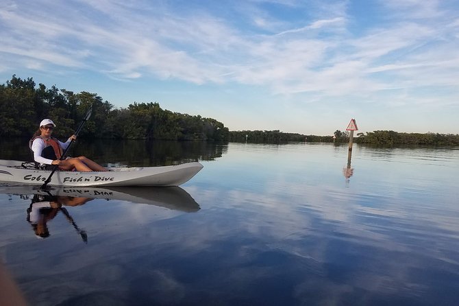Mangrove Tunnels, Dolphins, Manatee Tour #1 Rated in Cocoa Beach - The guides make the difference