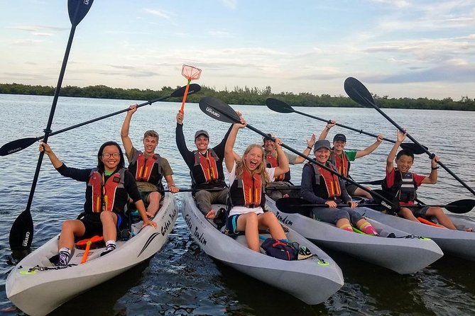 Mangrove Tunnels, Dolphins, Manatee Tour #1 Rated in Cocoa Beach - Is $59 a fair price?