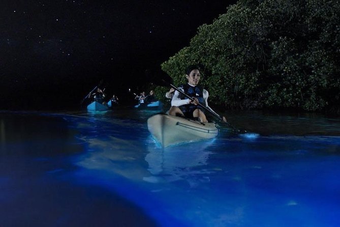 Mangrove Tunnels, Dolphins, Manatee Tour #1 Rated in Cocoa Beach - Who should book this Cocoa Beach kayak tour?
