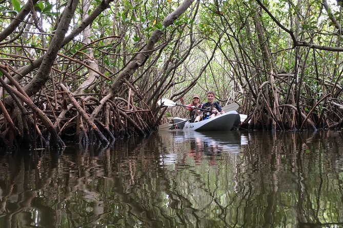 Mangrove Tunnels, Dolphins, Manatee Tour #1 Rated in Cocoa Beach - Looking for dolphins and manatees