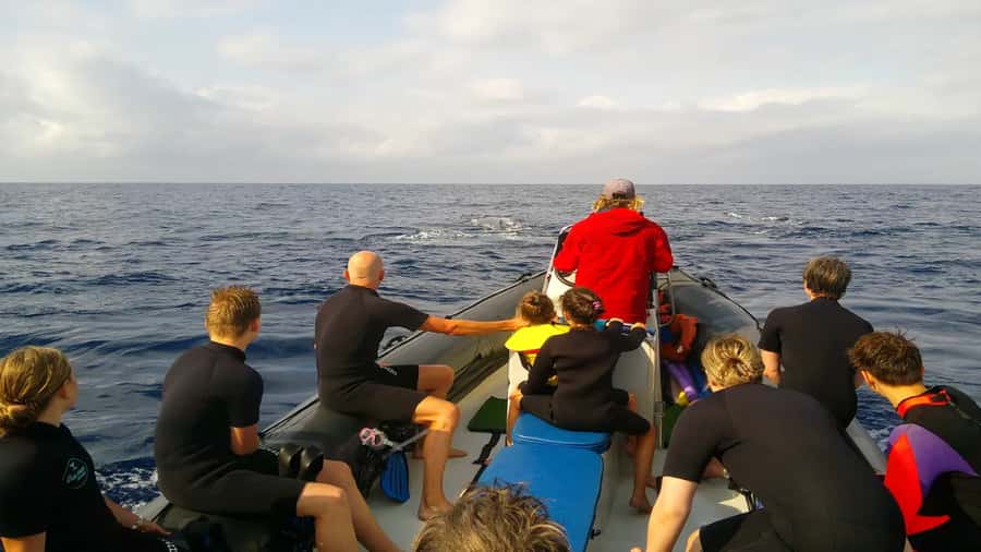 Maputo: Dolphin Swim Tour in Ponta do Ouro - What happens during the 150-minute trip