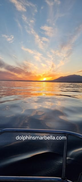 Marbella: Dolphin-Watching Sailboat Trip with Drinks, Snacks - Key points to know before you book