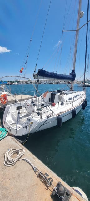 Marbella: Dolphin-Watching Sailboat Trip with Drinks, Snacks - Timing, cancellation, and practical planning