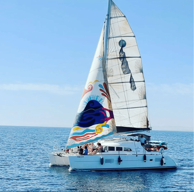 Marbella: Group Dolphin Watching Catamaran Tour with Snacks - The swimming stop and water toys