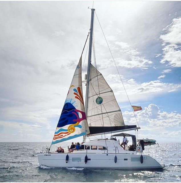 Marbella: Group Dolphin Watching Catamaran Tour with Snacks - What the two-hour route feels like