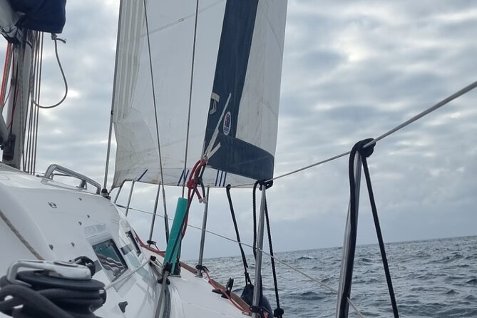 Marbella sailboat rental, dolphins, drinks and snacks - 2 hours - Why this two-hour sail works well in Marbella