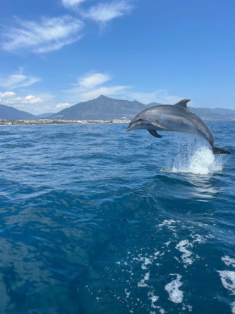 Marbella: Sailing & Dolphin Watching with Snacks and Drinks - Coastline Views, Africa, and Gibraltar