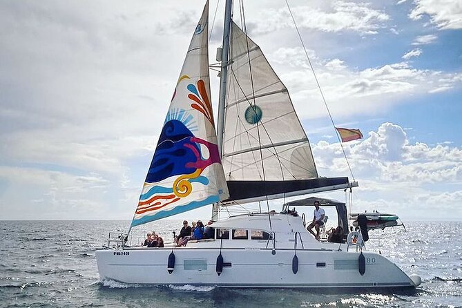 Marbella Small Group Catamaran with Dolphin Watching - Looking for dolphins along Marbella’s coast