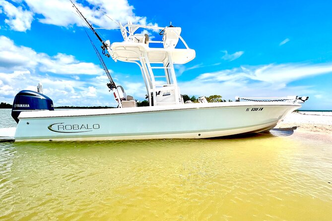 Marco Island Dolphin & Eco Tour – Private 2 Hour Wildlife Cruise - Key Points to Know Before You Go