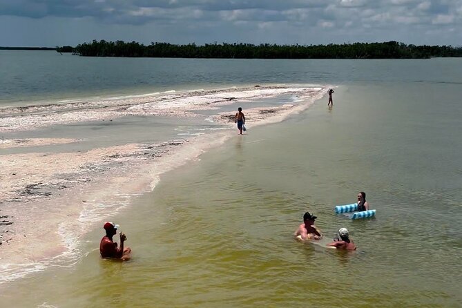 Marco Island Dolphin & Eco Tour – Private 2 Hour Wildlife Cruise - The Barrier-Island Beach Stop