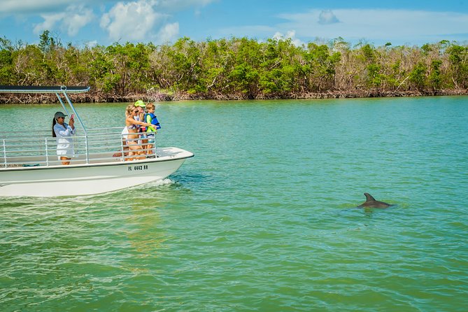Marco Island Dolphin Sightseeing Tour - Why this Marco Island dolphin tour works