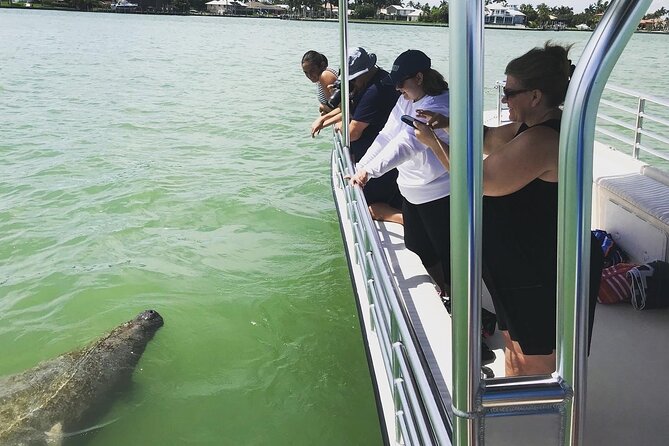 Marco Island Dolphin Sightseeing Tour - The Ten Thousand Islands from the water