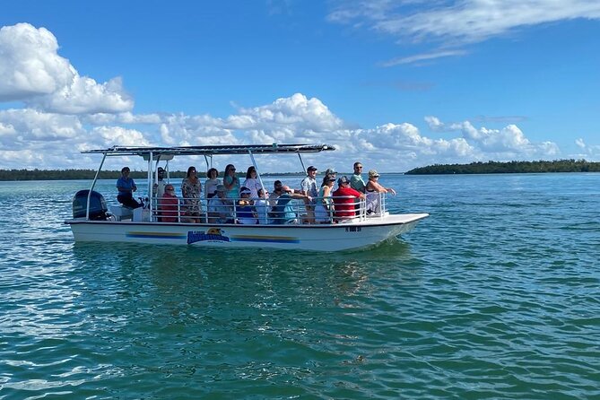 Marco Island Dolphin Sightseeing Tour - Birds, manatees, and the rest of the wildlife