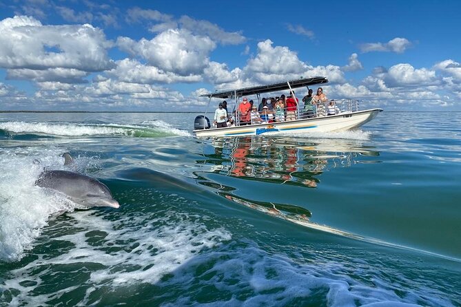 Marco Island Dolphin Sightseeing Tour - Guides who make the ride more than a sighting