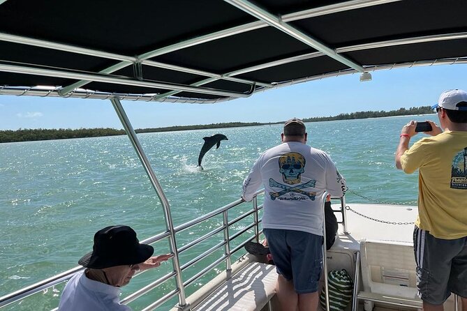 Marco Island Dolphin Sightseeing Tour - Timing, comfort, and what to bring