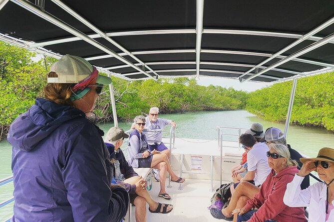 Marco Island Dolphin Sightseeing Tour - Who should book this outing